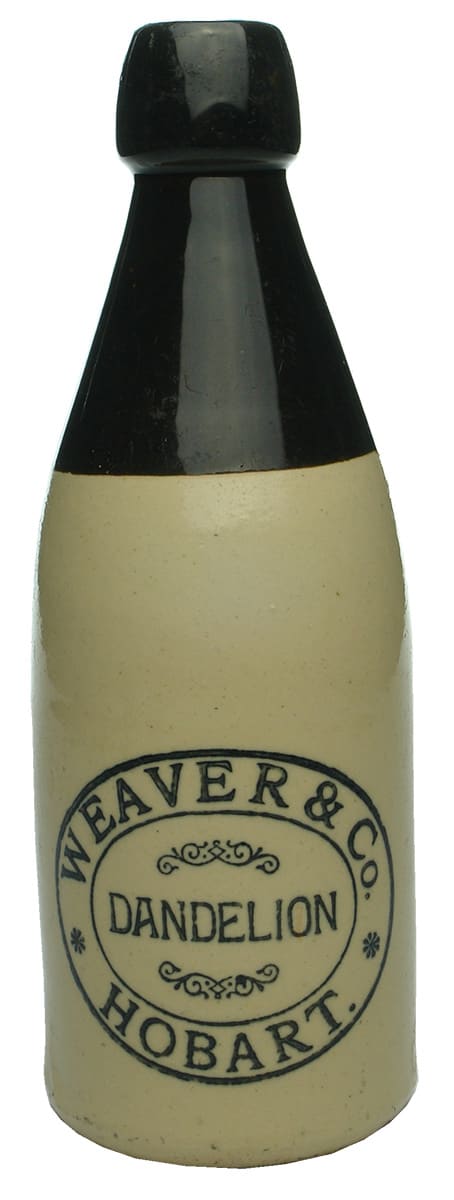 Weaver Dandelion Hobart Black Top Bottle