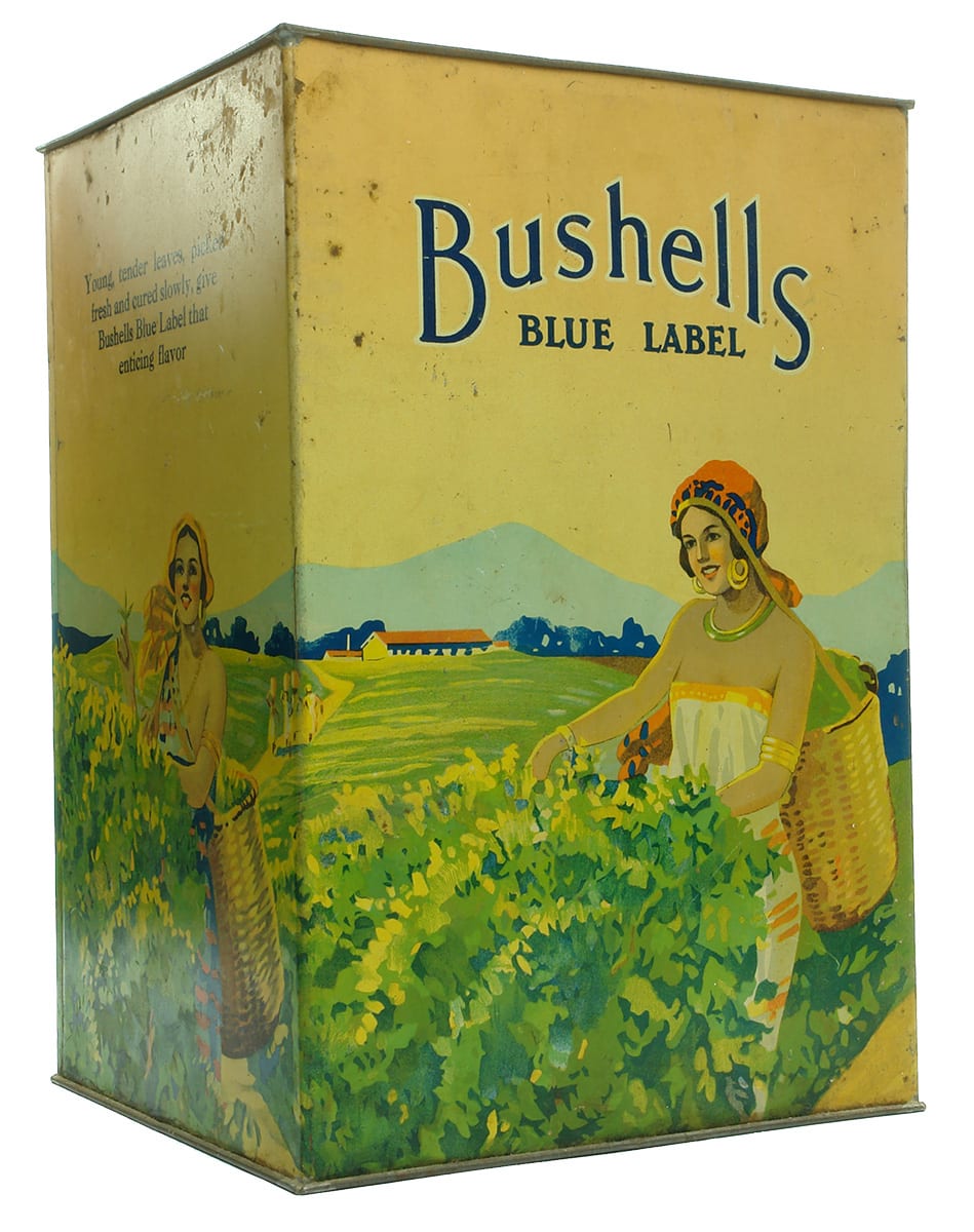 Bushells Tea Tin