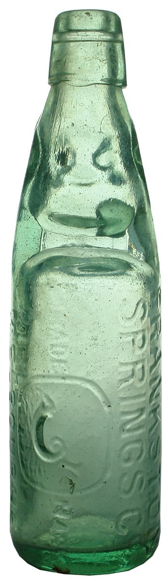 Frankston Springs Melbourne Dolphin Codd Marble Bottle