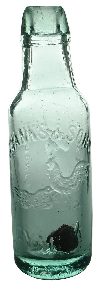 Shanks Gympie Antique Lamont Patent Bottle