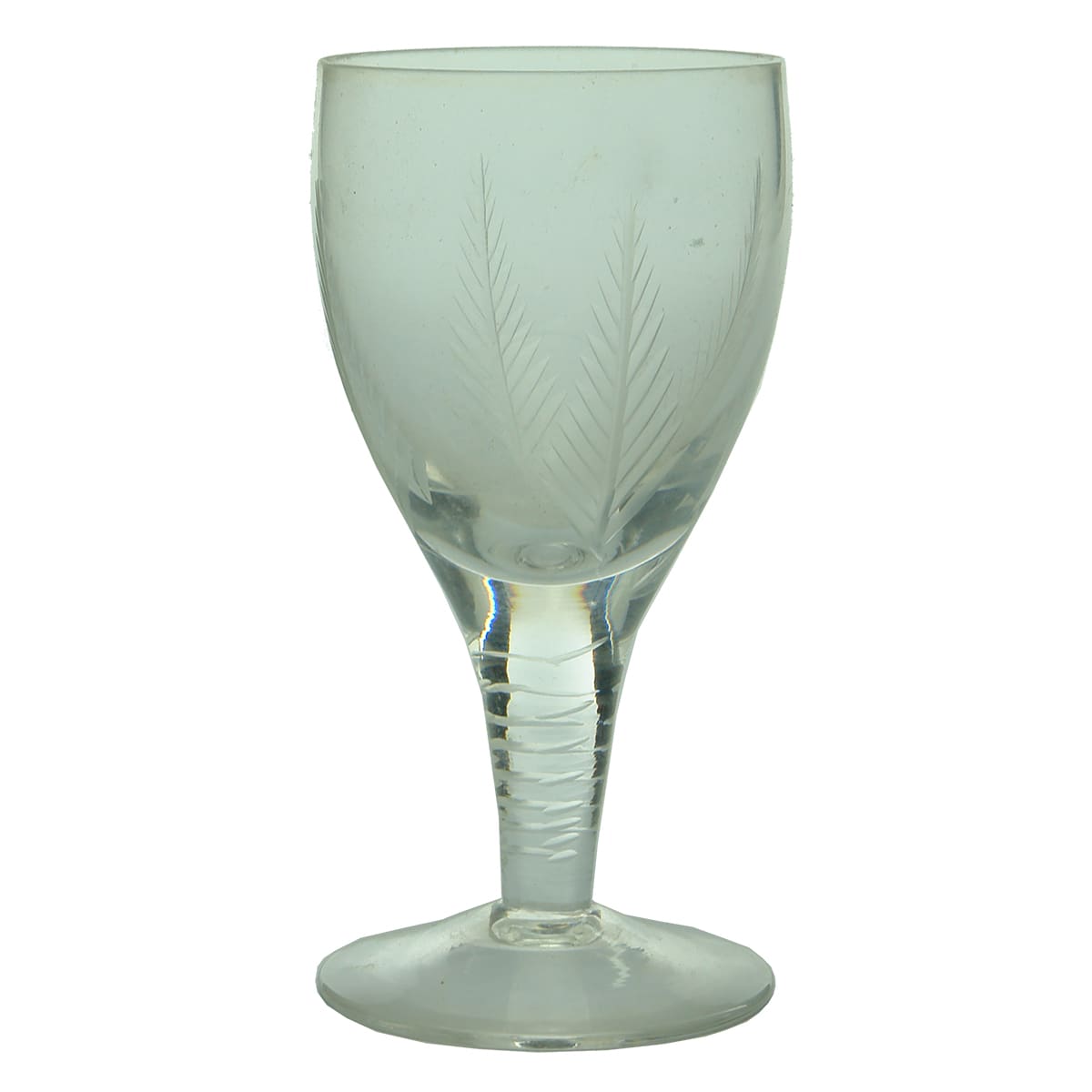 Glass. Early glass with stem and fern leaf design etched to bowl.