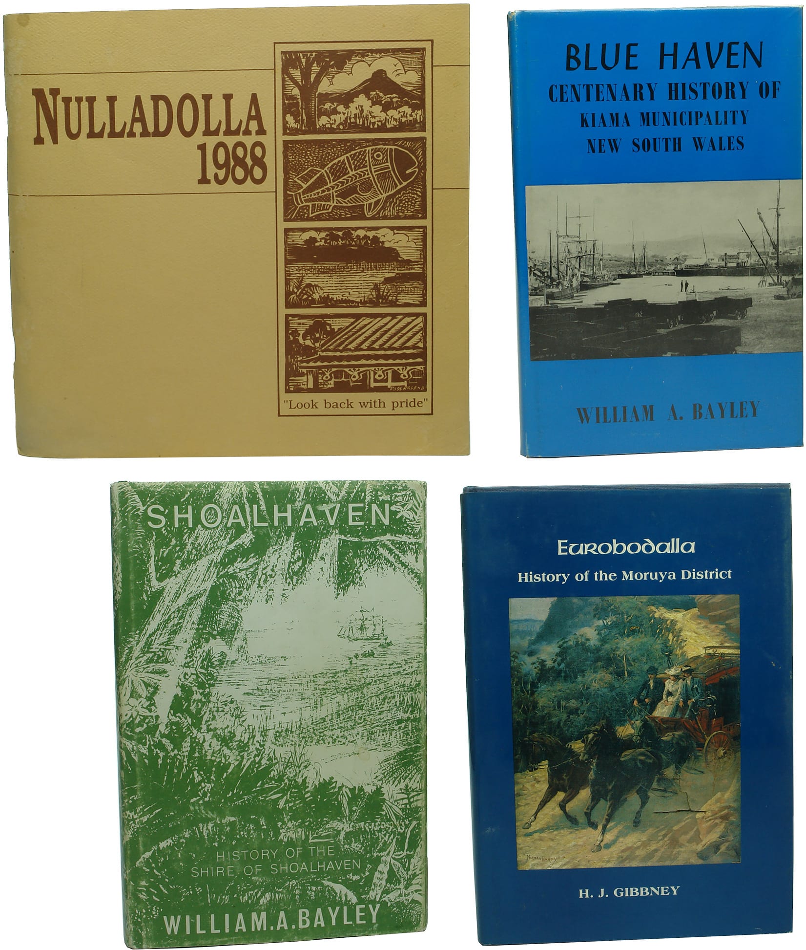 New South Wales Local History Books