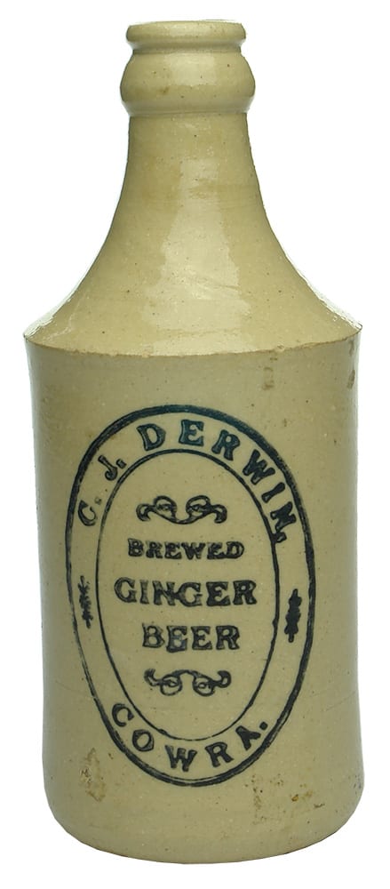 Derwin Brewed Ginger Beer Cowra Bottle