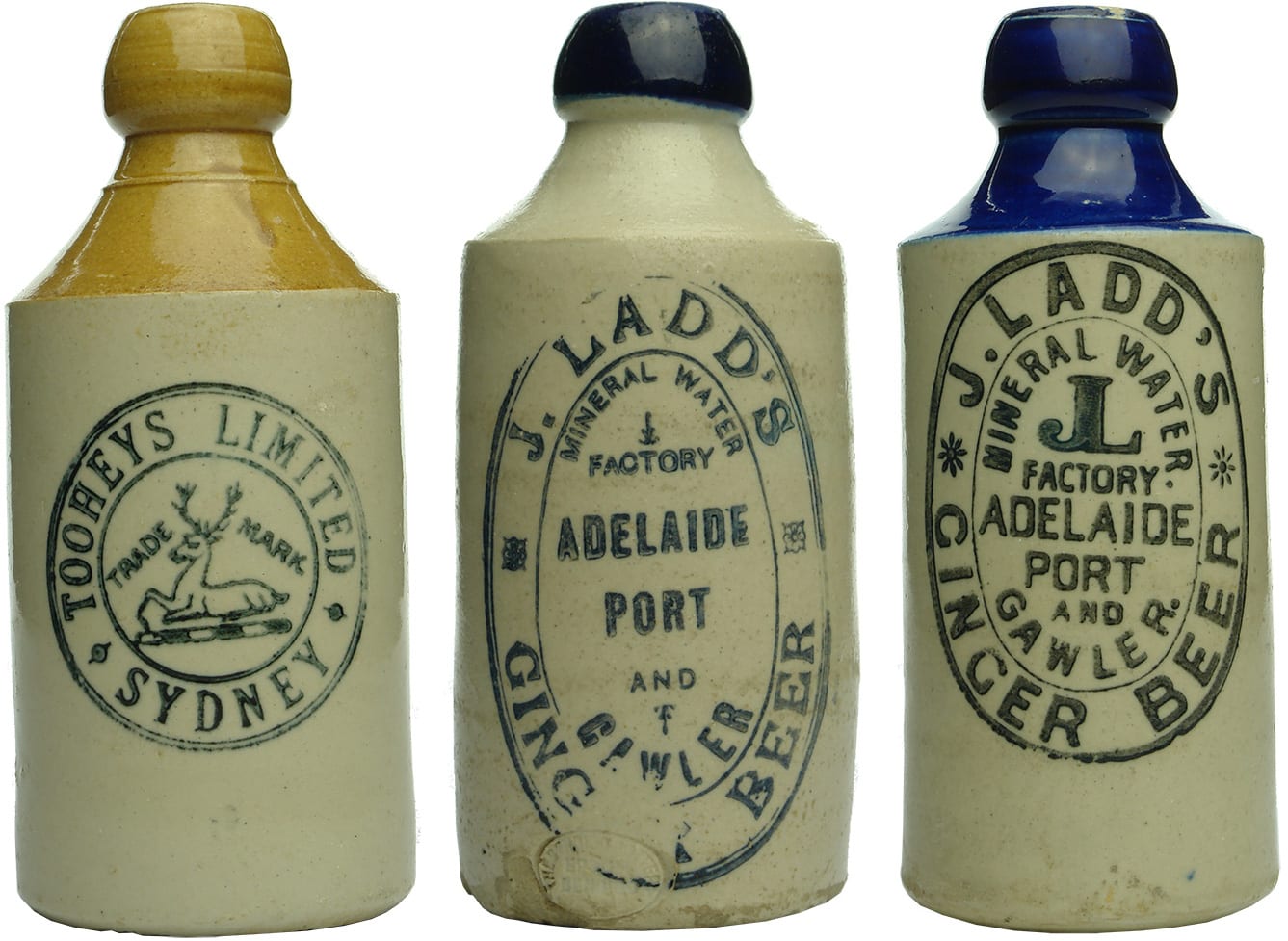 Antique Old Ginger Beer Bottles