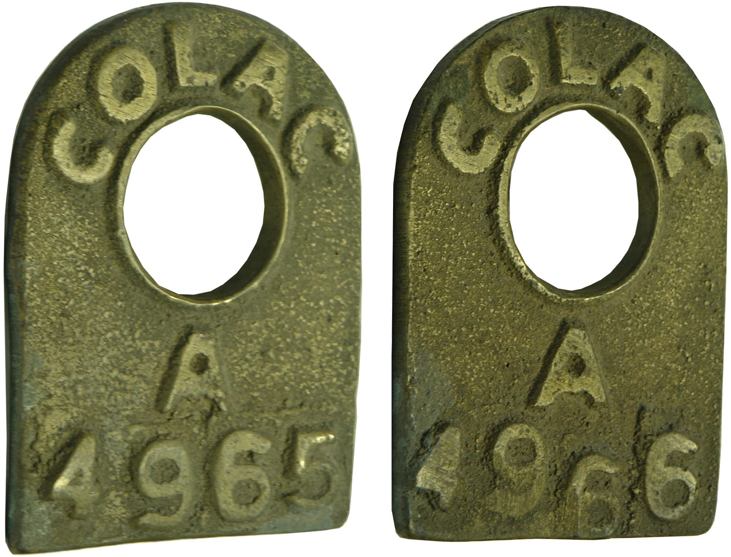 Colac Common Cow Tags