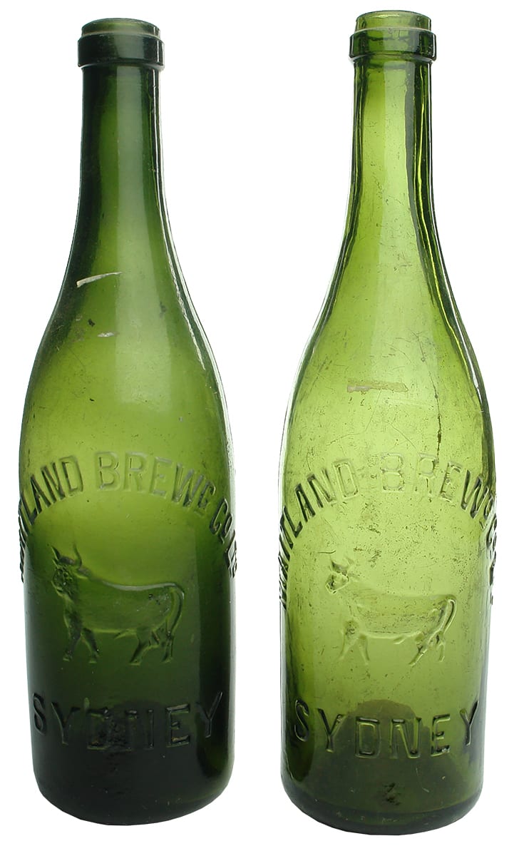 Antique Maitland Sydney Bull Antique Beer Bottles
