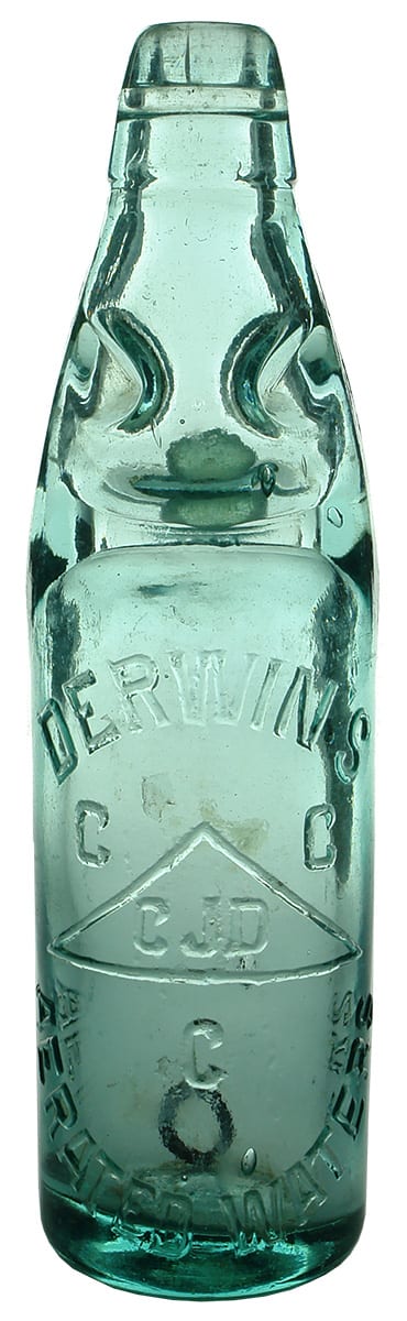 Derwin's Aerated Waters Codd Marble Bottle