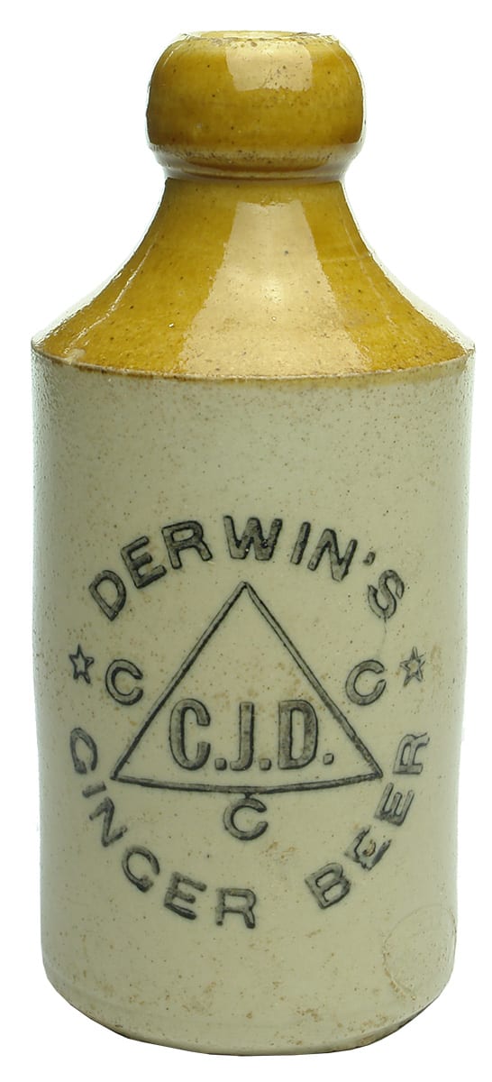 Derwin's Stone Ginger Beer Bottle