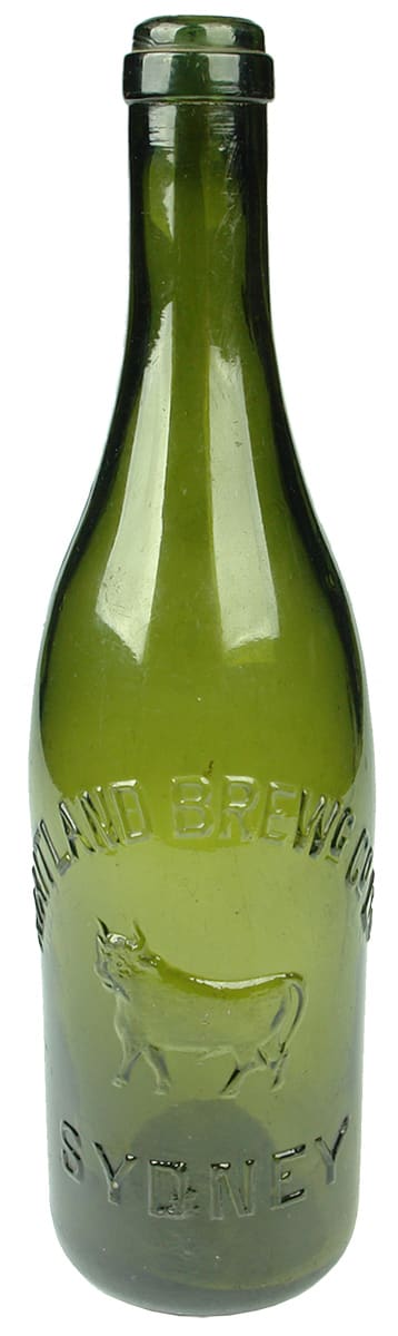 Maitland Brewg Co Antique Beer Bottle