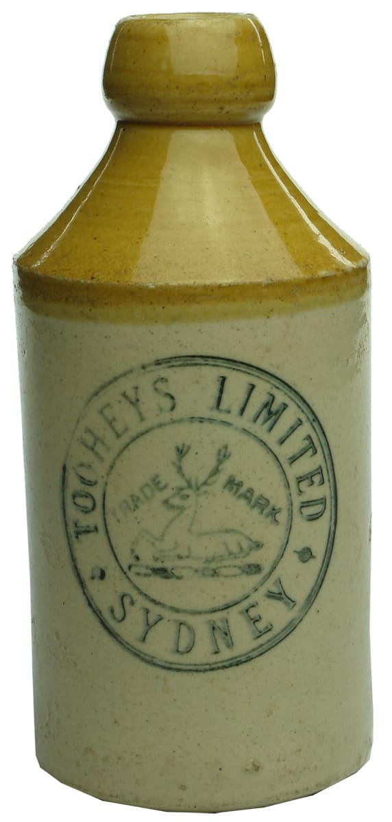 Tooheys Limited Sydney Ginger Beer Bottle