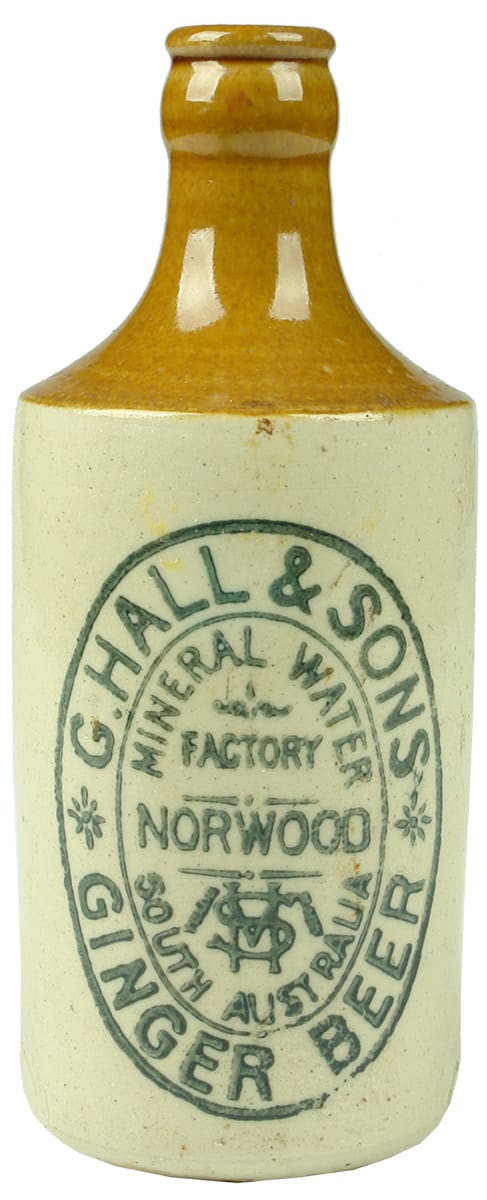 Hall Sons Norwood Mineral Water Ginger Beer Bottle