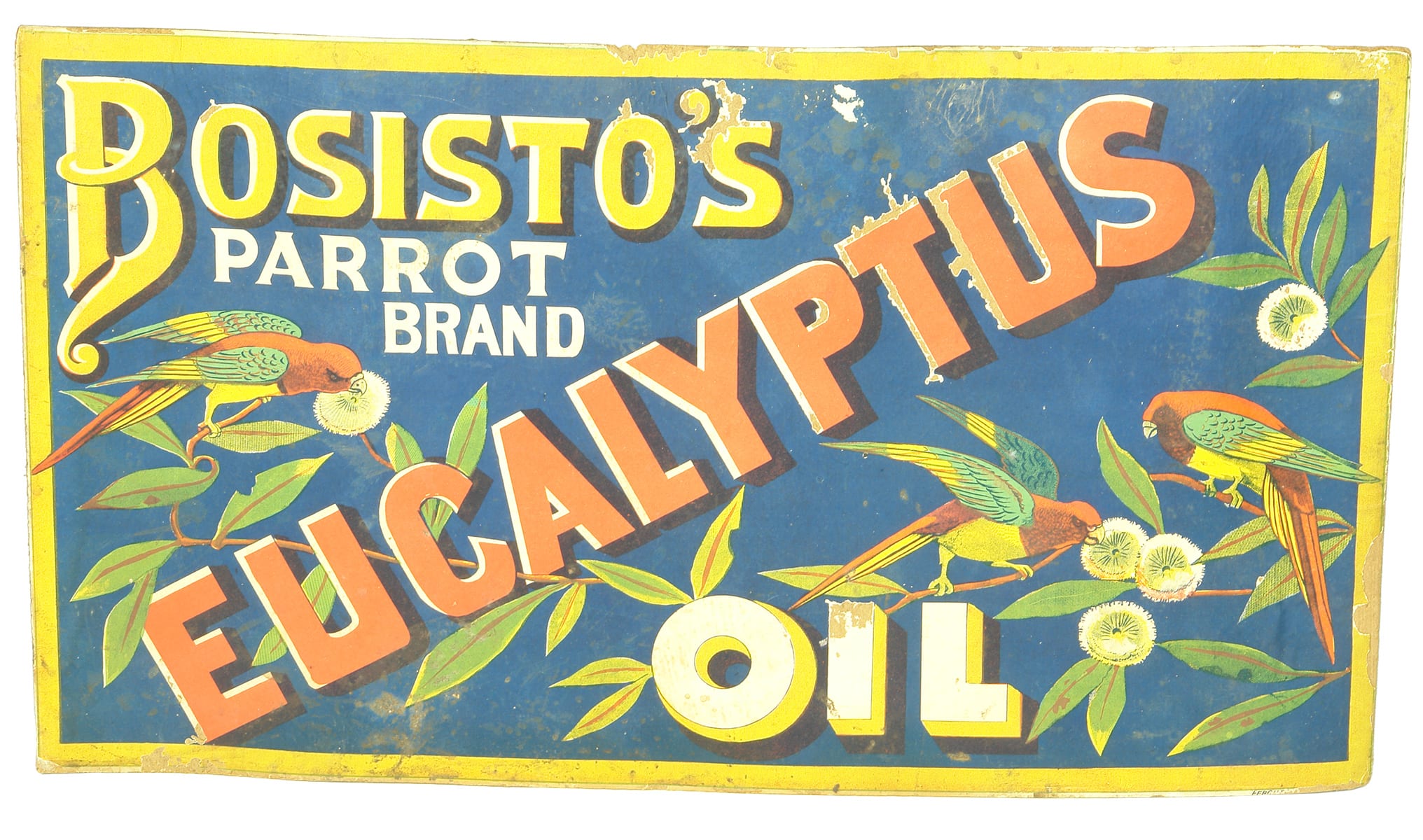 Bosistos Parrot Brand Eucalyptus Oil Advertising Poster