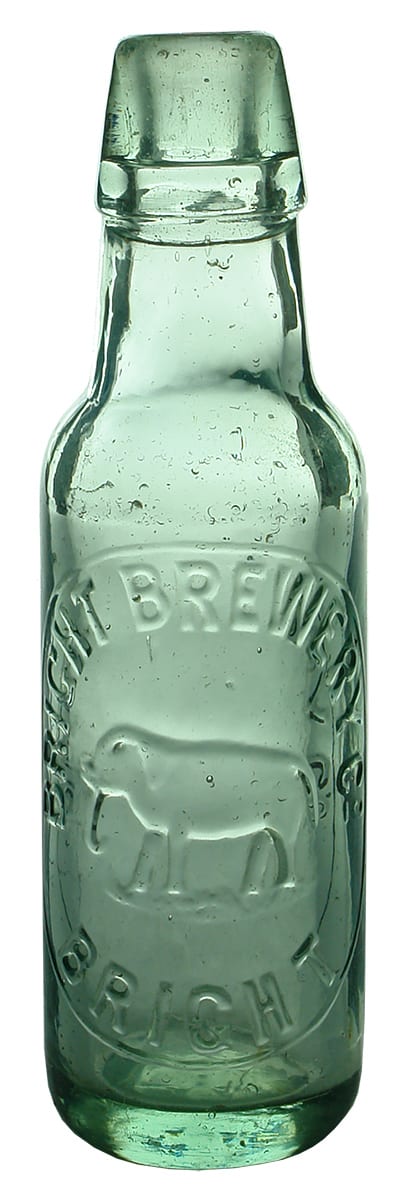 Bright Brewery Lamont Aerated Water Bottle