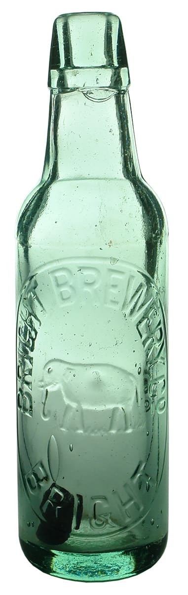 Bright Brewery Lamont Aerated Water Bottle