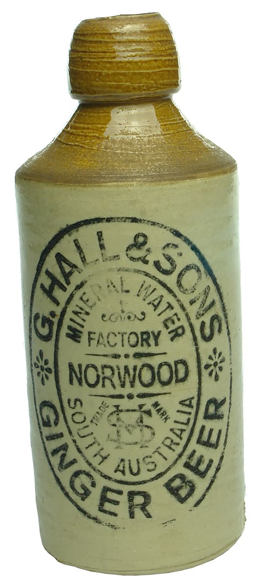 Hall Sons Norwood ginger beer bottle