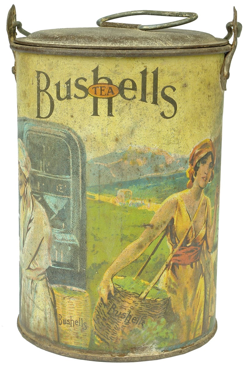 Bushell's Tea Tin