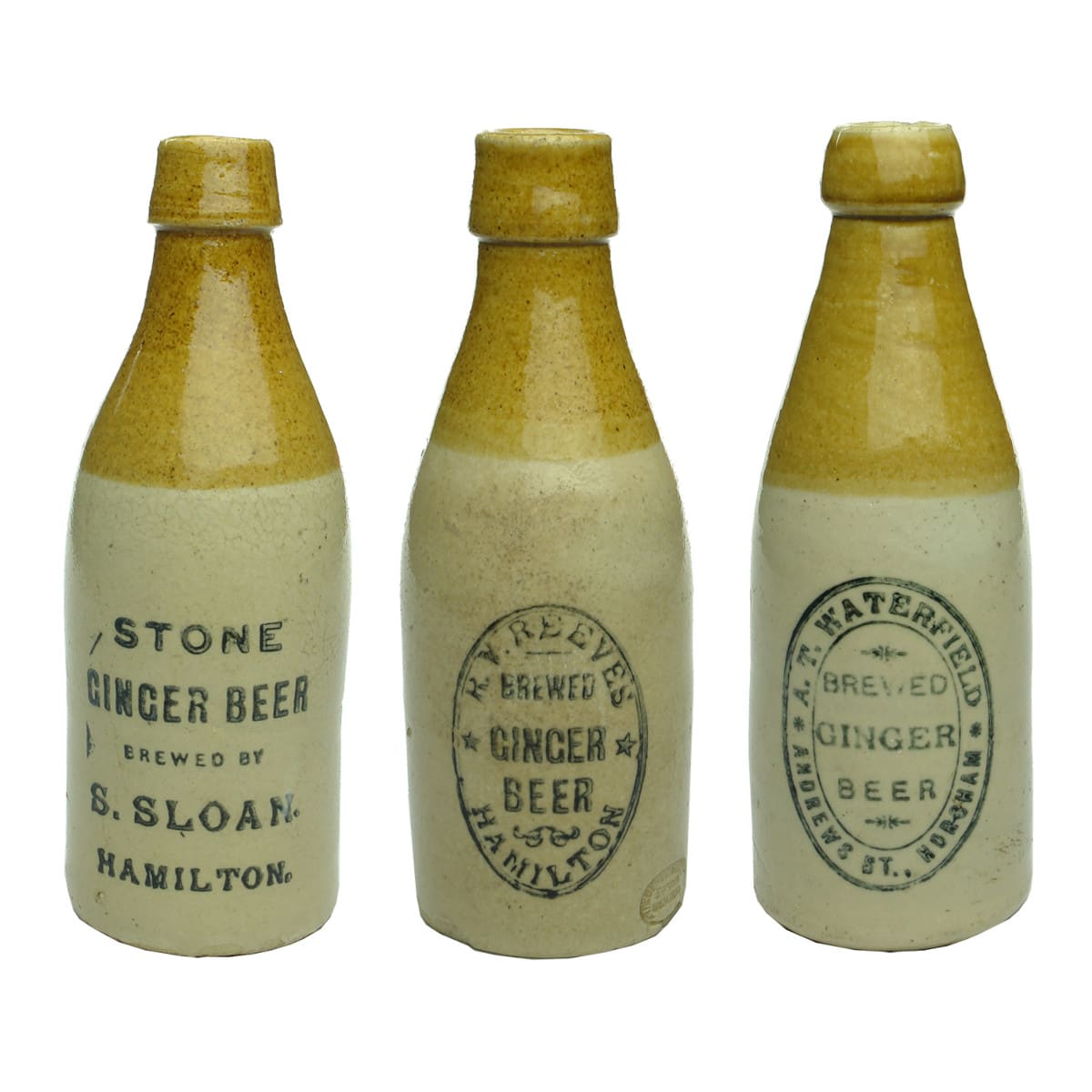 Three Ginger Beers: S. Sloan, Hamilton; R. V. Reeves, Hamilton and Waterfield, Horsham. (Victoria)