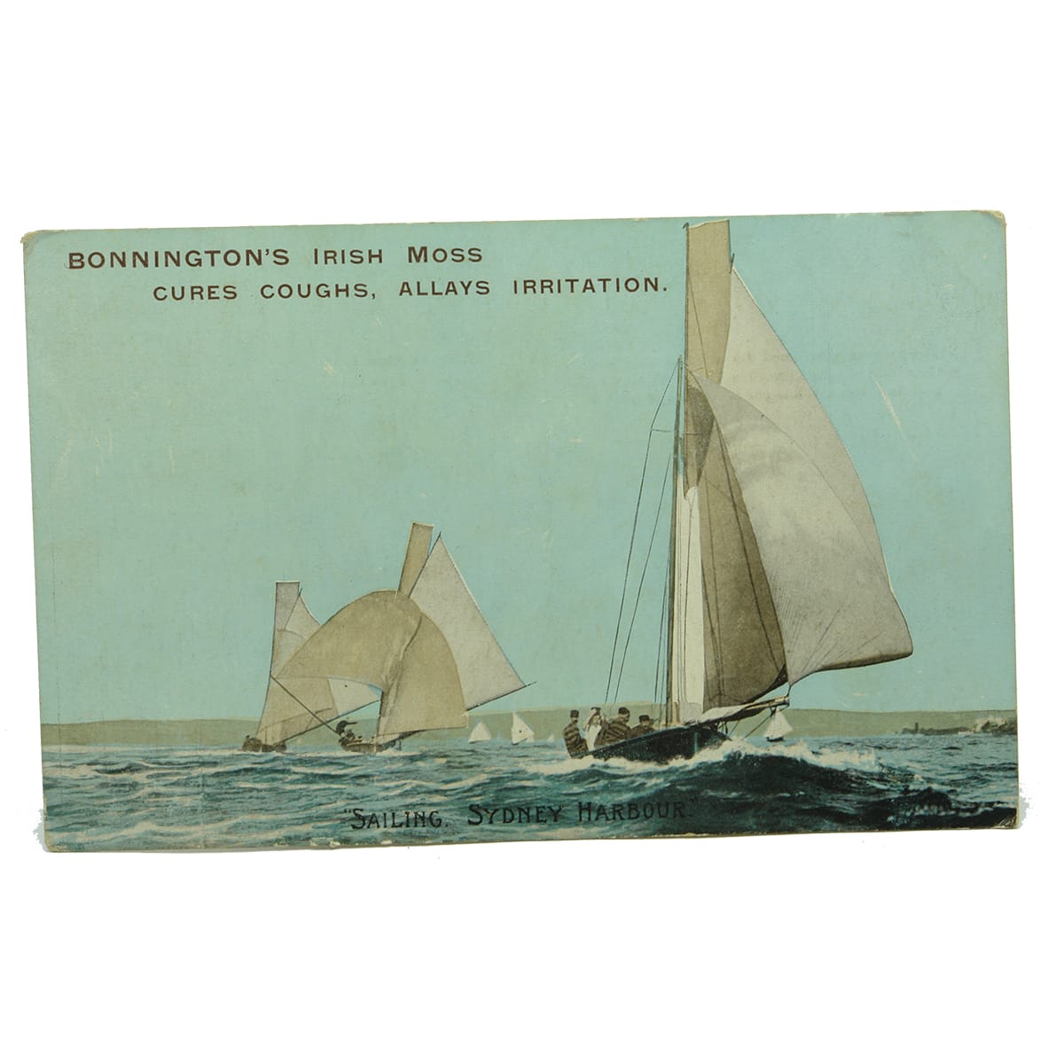 Post Card. Bonnington's Irish Moss with ships sailing Sydney Harbour.