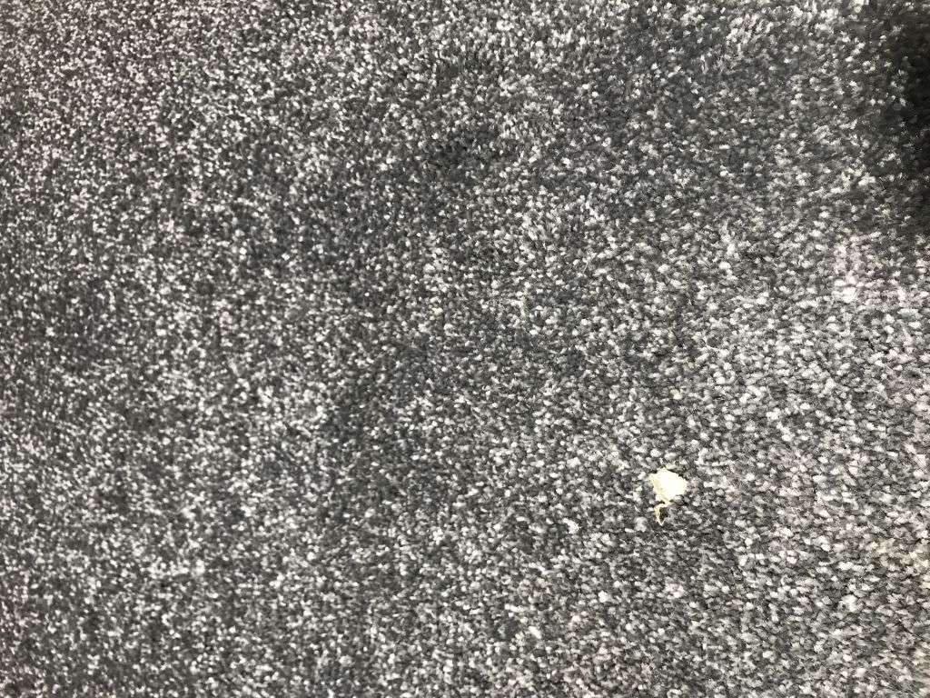 Carpet, Underlay, Safety Flooring, Artificial Grass & more | No Reserve | No VAT on Hammer | Shipping Available