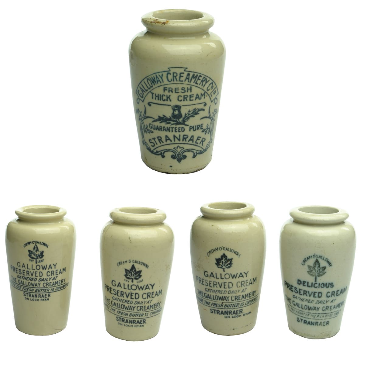 Five stoneware Cream Jars. All variations of Galloway Preserved Cream. Stranraer on Loch Ryan. Ivy Leaf. Thistle.