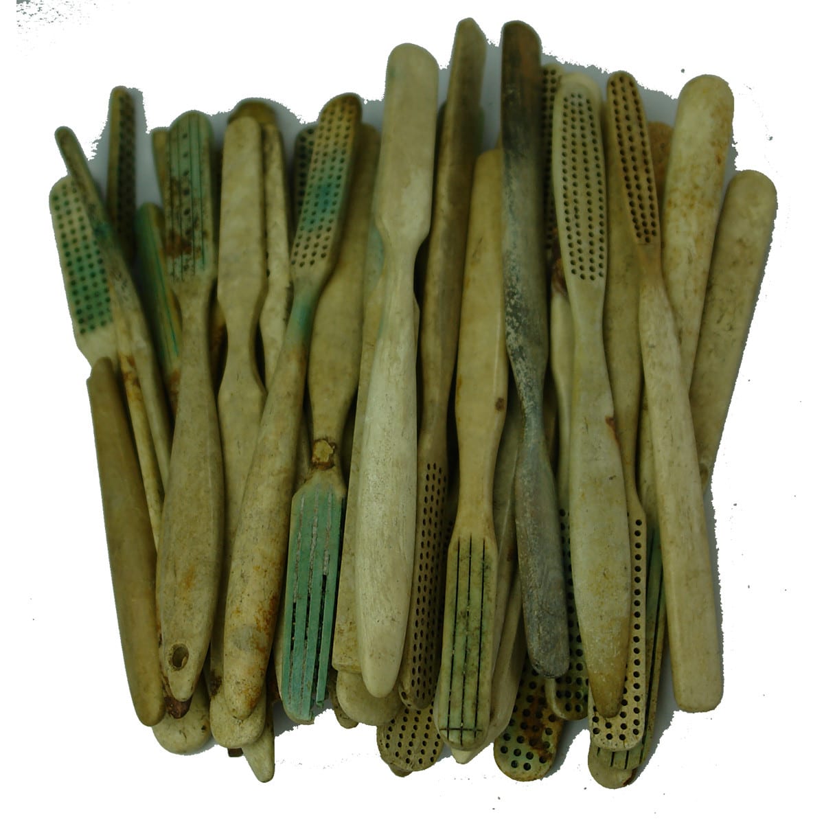 Dental. 36 bone tooth brushes, mostly generic.