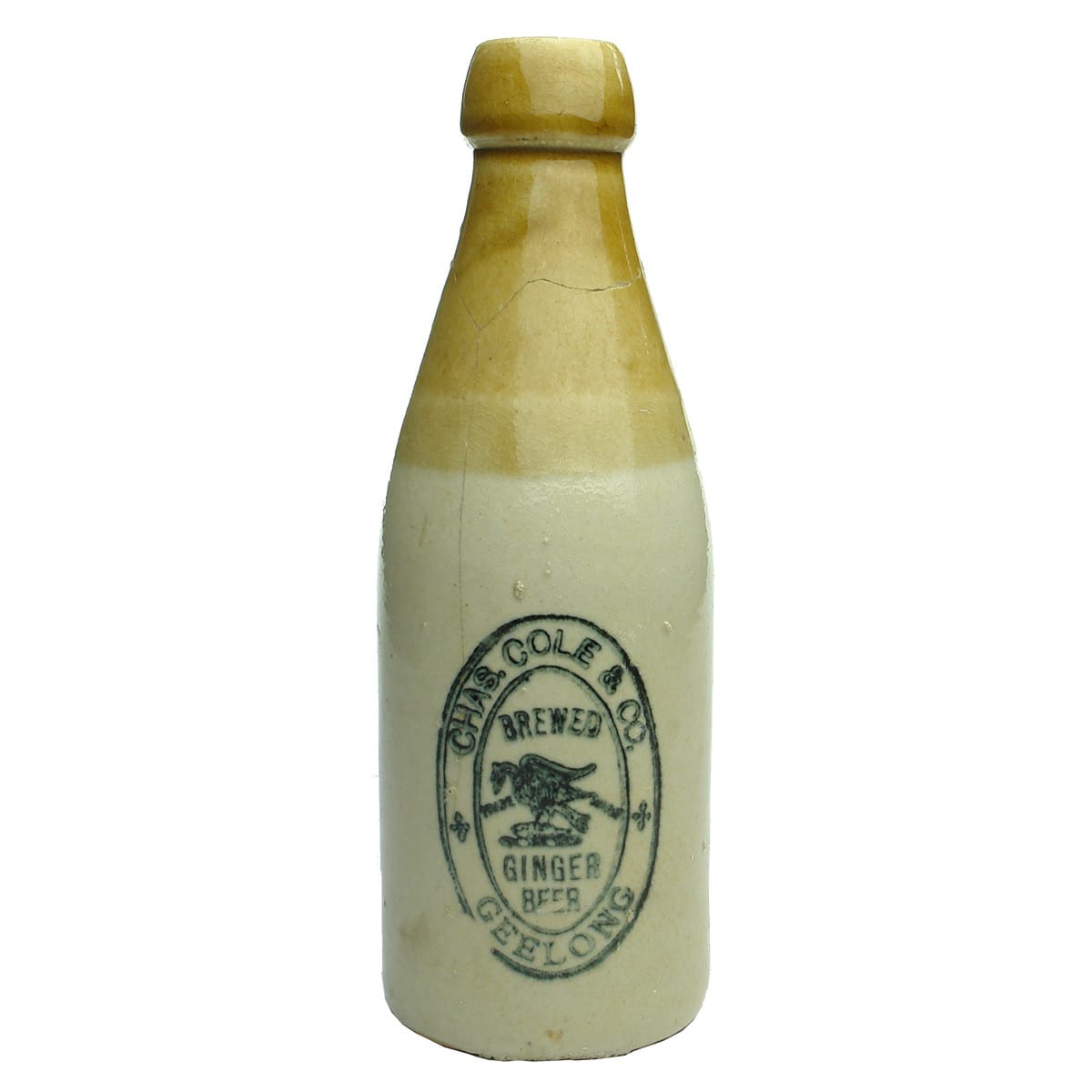 Ginger Beer. Chas Cole & Co., Geelong. Internal Thread. Tan Top. 10 oz. (Victoria)