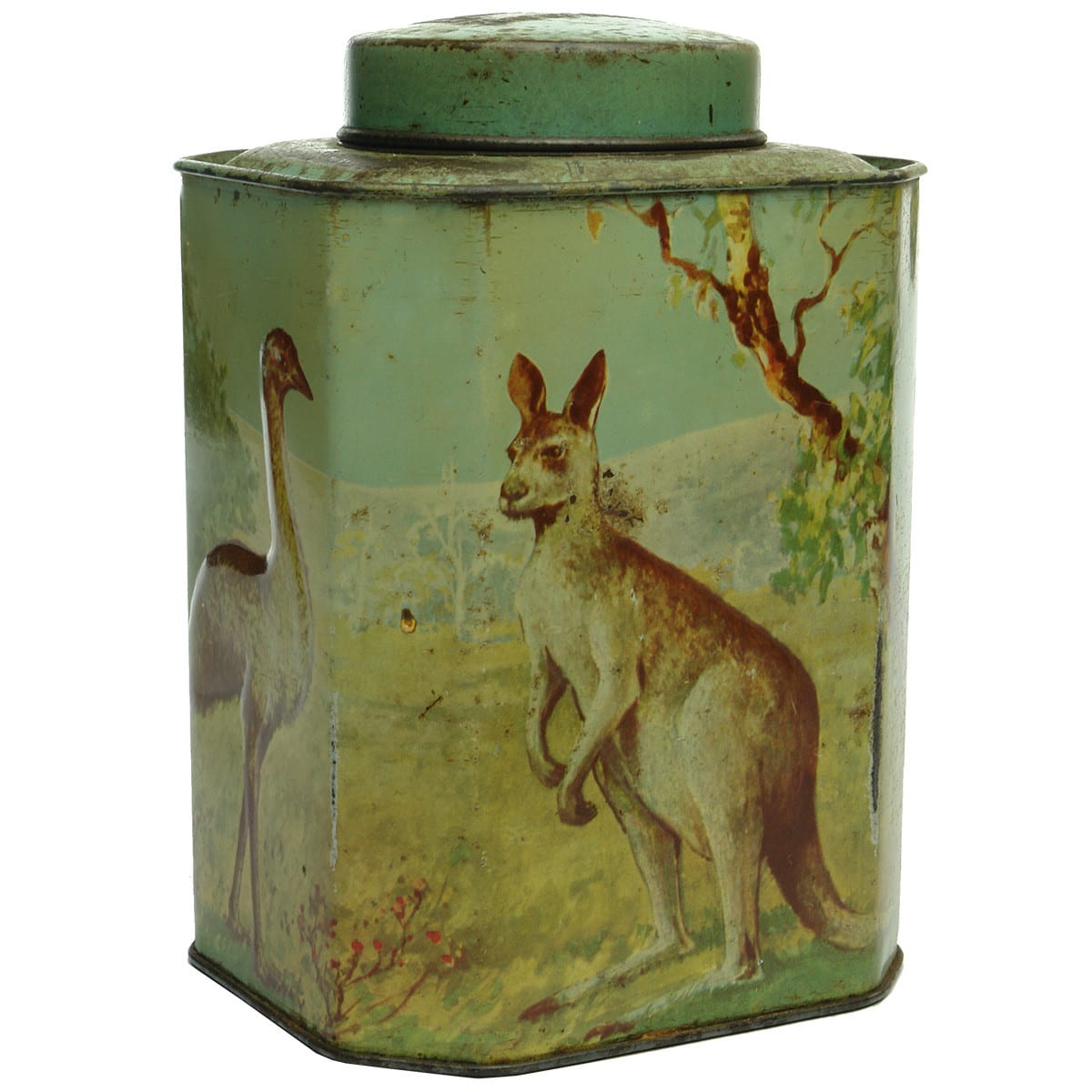 Tin. Bushell's Tea Tin with Australian Fauna. 1 Pound.