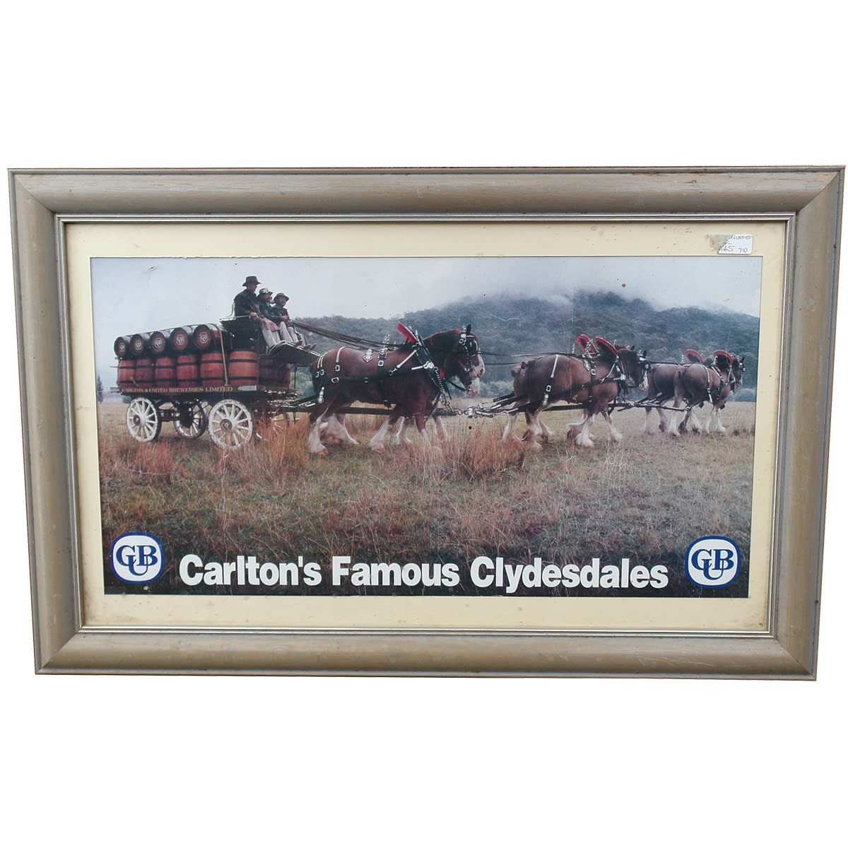 Beer Advertising. Framed cardboard poster from CUB. Carlton's Famous Clydesdales. (Melbourne, Victoria)