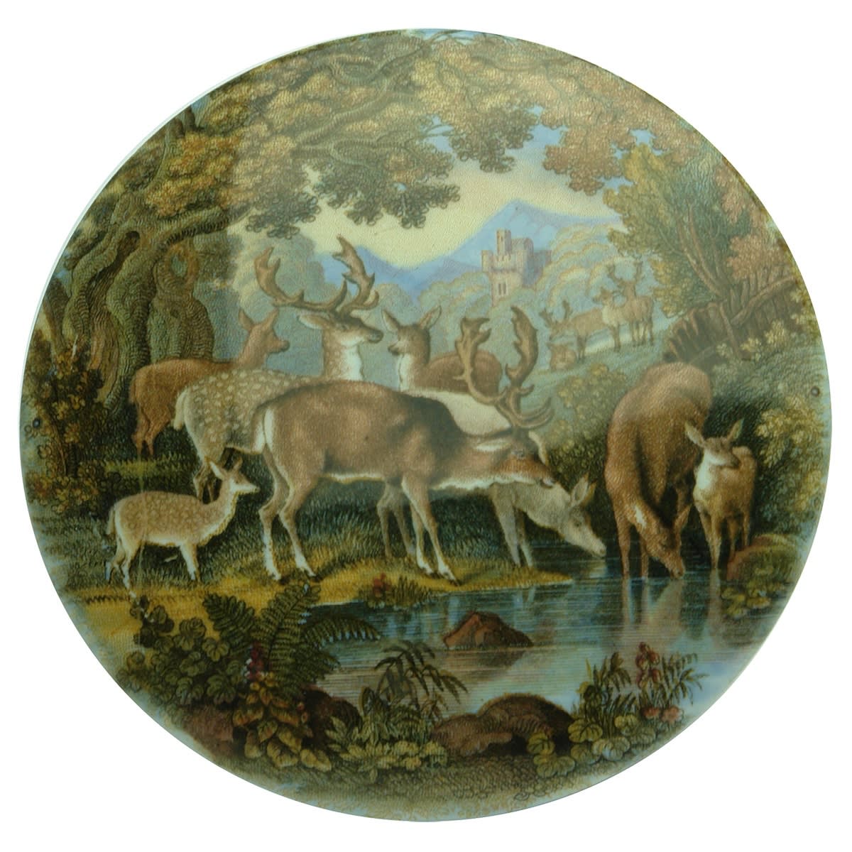 Pratt Lid. Deer Drinking.