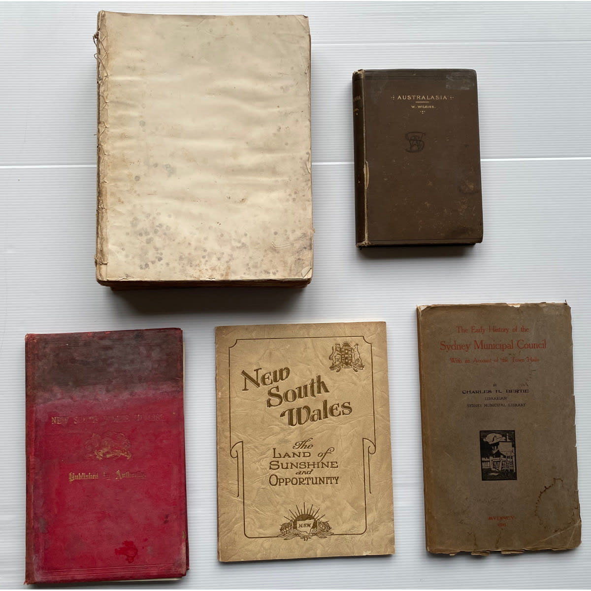 5 Books: Aldine Centennial History of NSW Vol 1 Australasia. W. Wilkins. 1888 New South Wales in 1881 New South Wales the land of Sunshine and Opportunity. 1934 The early history of the Sydney Municipal Council. Charles H. Bertie. 1911.