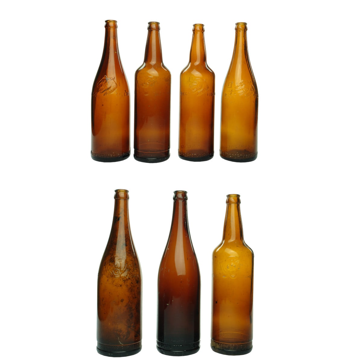 7 Richmond Brewery Crown Seal Beers. 6 with Tigers Heads, one just embossed around the base. (Victoria)