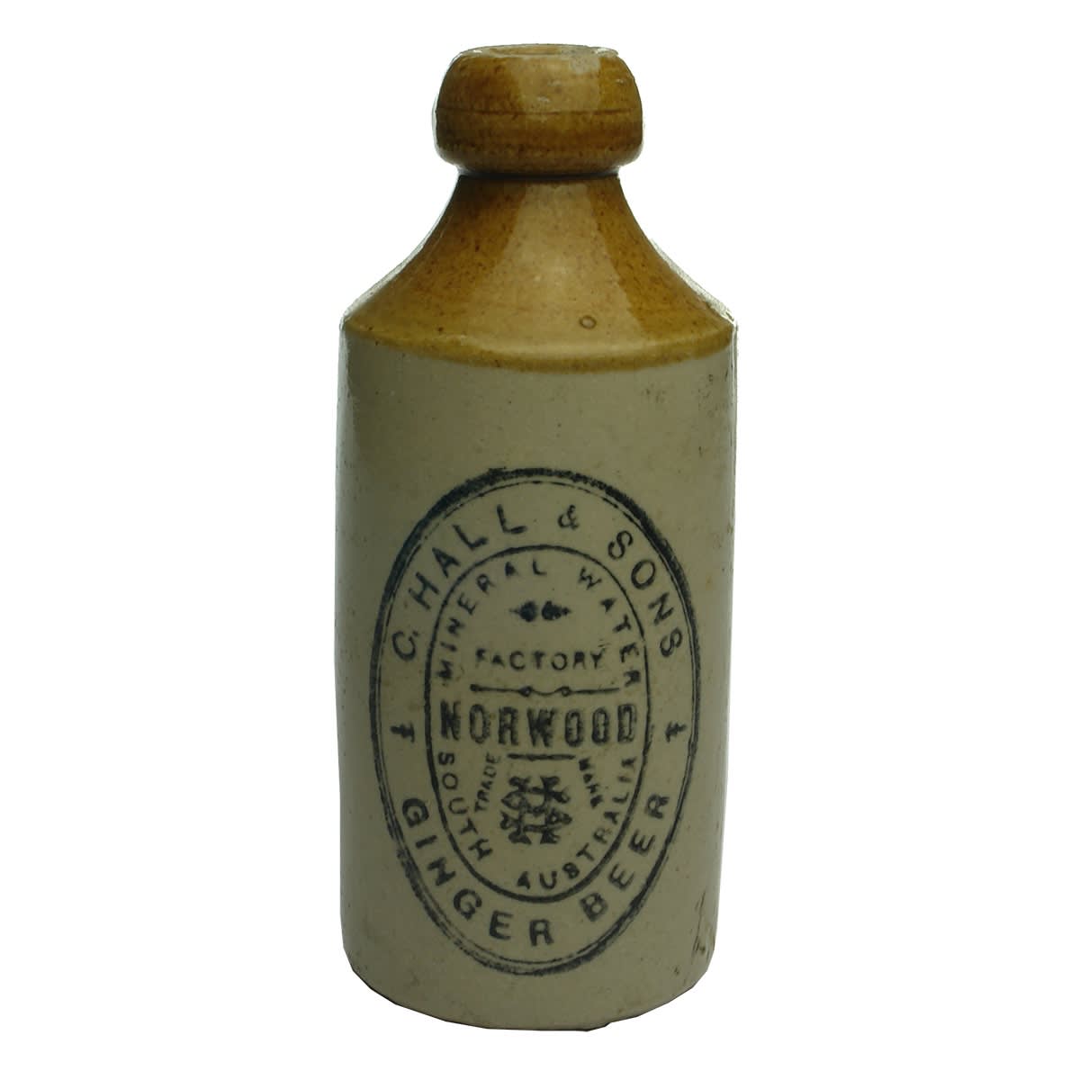 Ginger Beer. C. Hall & Sons, Norwood. Tan Top. Dump. Longer Neck. (South Australia)