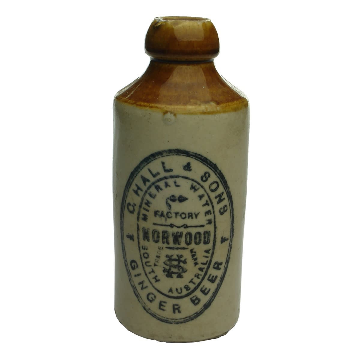 Ginger Beer. C. Hall & Sons, Norwood. Dark Tan Top. Dump. Shorter Neck. (South Australia)