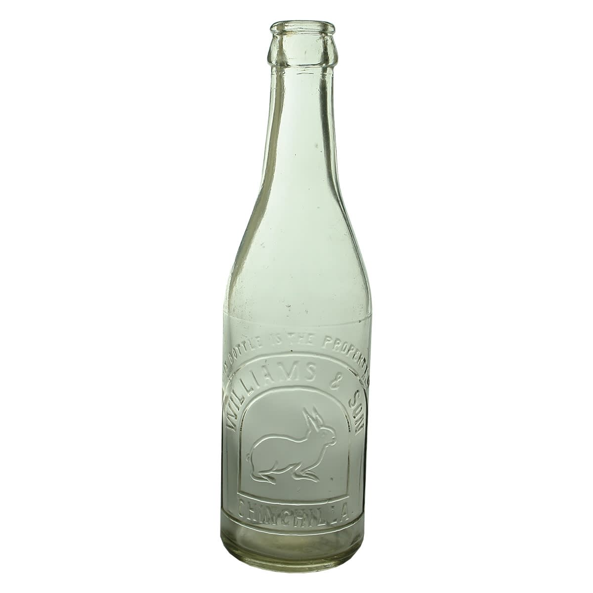 Crown Seal. Williams & Son, Chinchilla. Rabbit - well a Chinchilla! Clear. 10 oz. (Queensland)