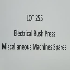255.jpg