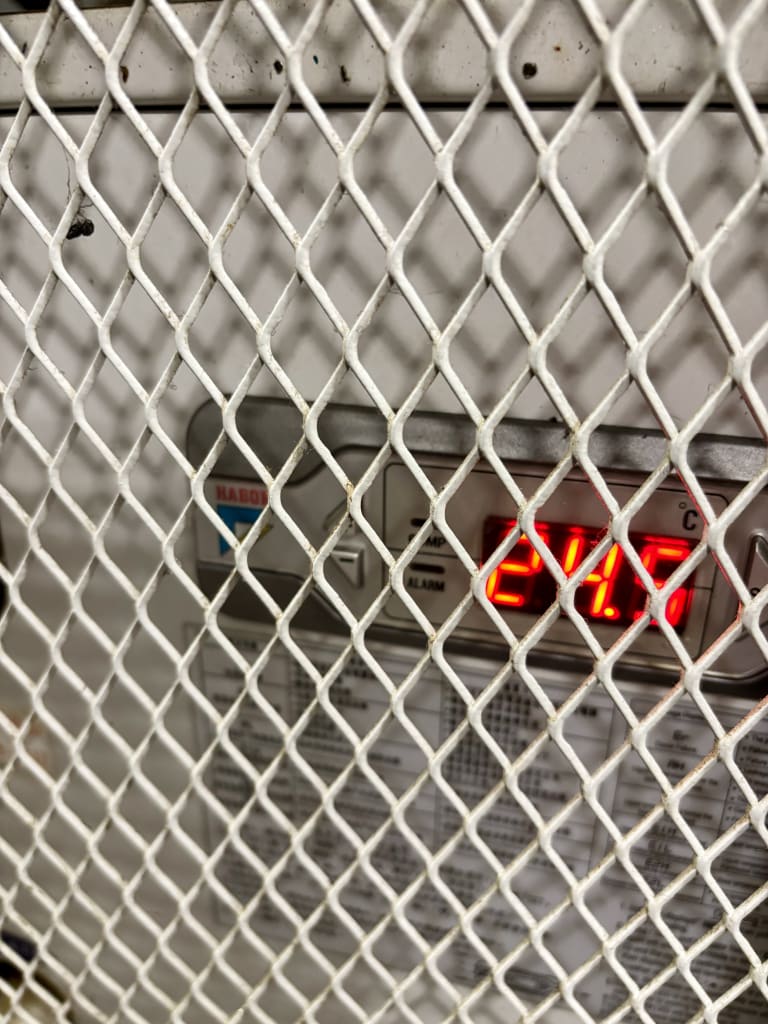 IMG_0147.JPEG