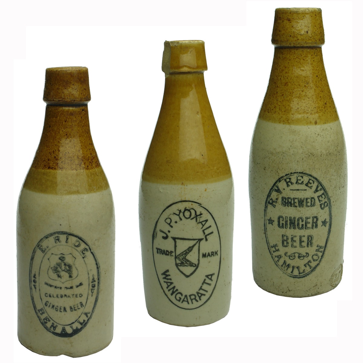 3 Ginger Beers: E. Ride, Benalla; J. P. Yoxall, Wangaratta; R. V. Reeves, Hamilton. (Victoria)