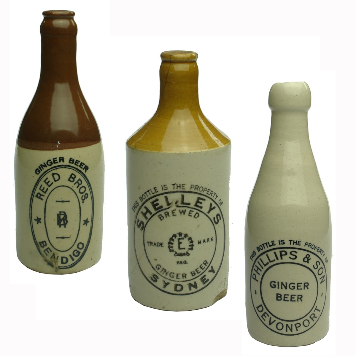 3 Ginger Beers. Reed Bros., Bendigo; Shelleys Sydney; Phillips & Son, Devonport.