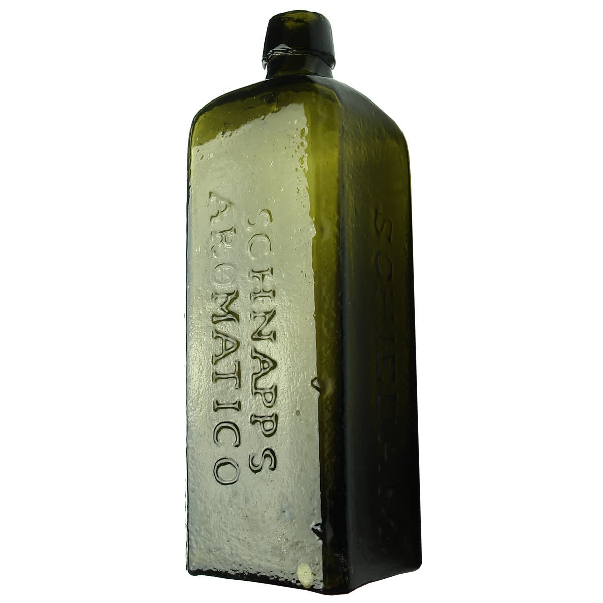 Schnapps. Schiedam, Schnapps Aromatico. Black. Raised dots down the edges.