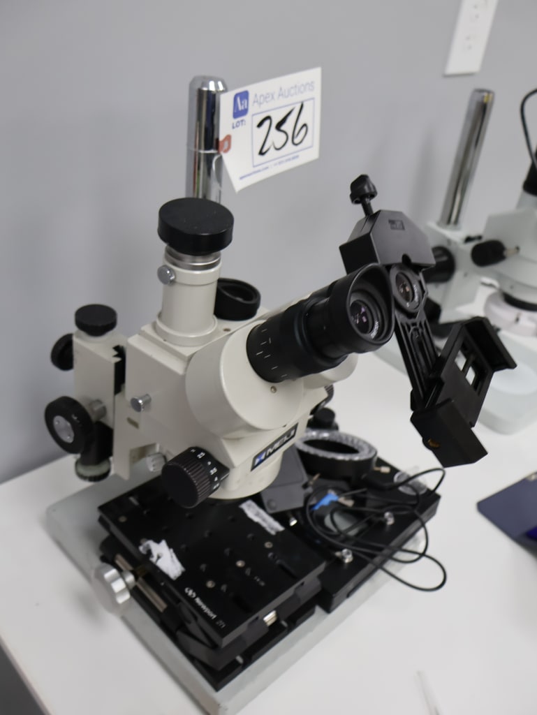 256-3.JPG