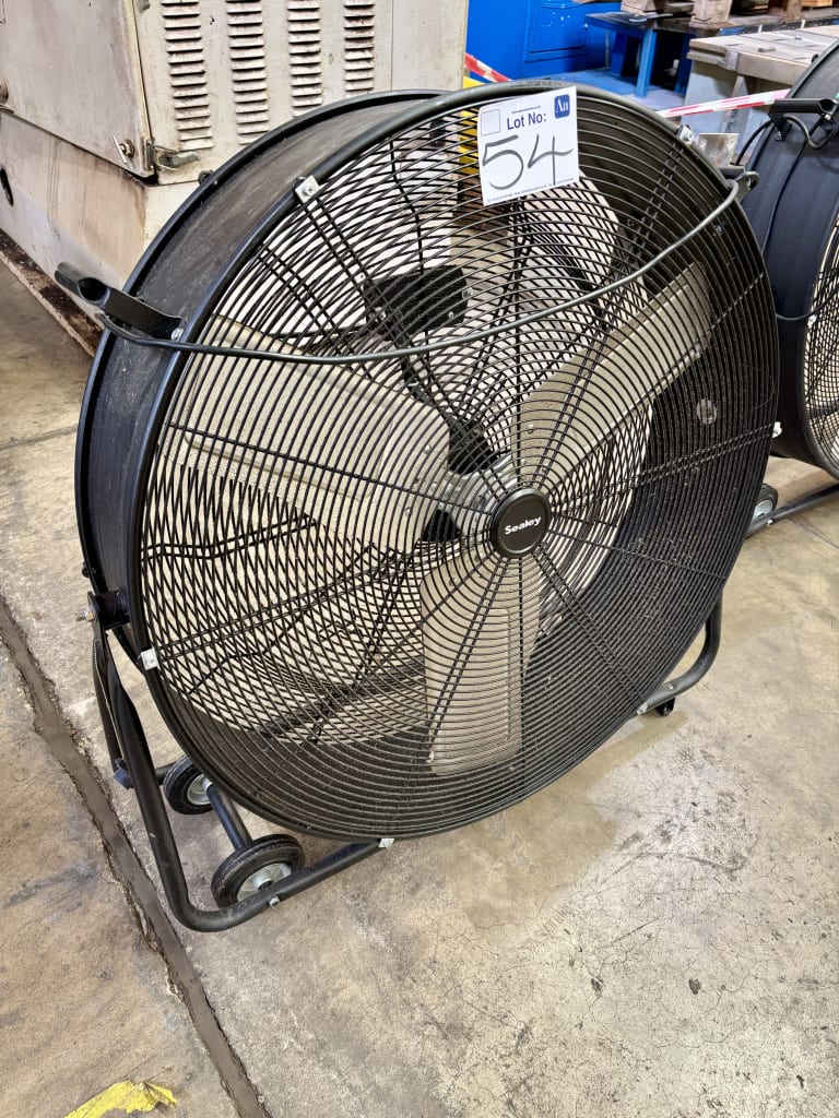 IMG_7077.JPEG