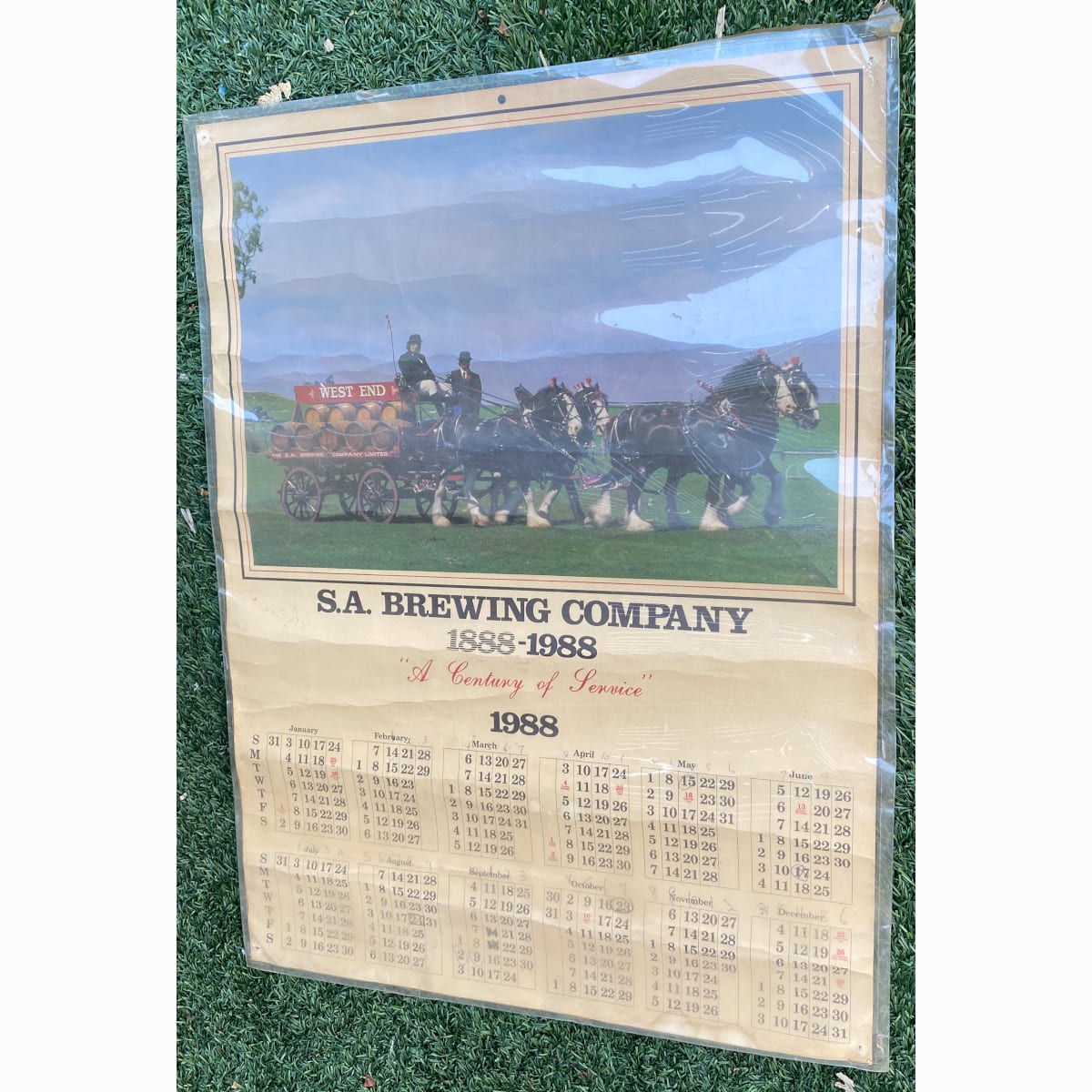 Advertising Calendar. S. A. Brewing Company. 1888-1988. A Century of Service. Clydesdales with cart and barrels. (South Australia)