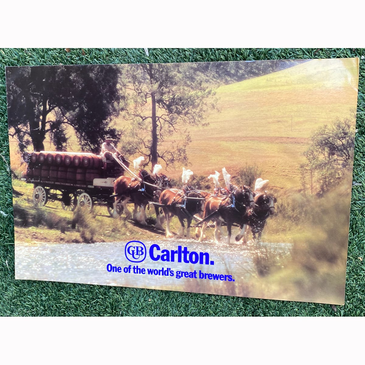 Light cardboard sign with photographic print. Carlton. One of the world's great brewers. Clydesdales towing a brewery cart with barrels across a stream. (Not for post. Arrangements will have to be made by winning bidder for pickup or courier delivery)  (Victoria)