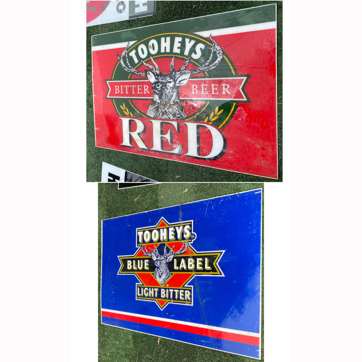 2 Large Perspex signs glued together back to back. Tooheys Red Bitter Ale & Tooheys Blue Label Light Bitter. (Not for post. Arrangements will have to be made by winning bidder for pickup or courier delivery)  (Sydney, New South Wales)