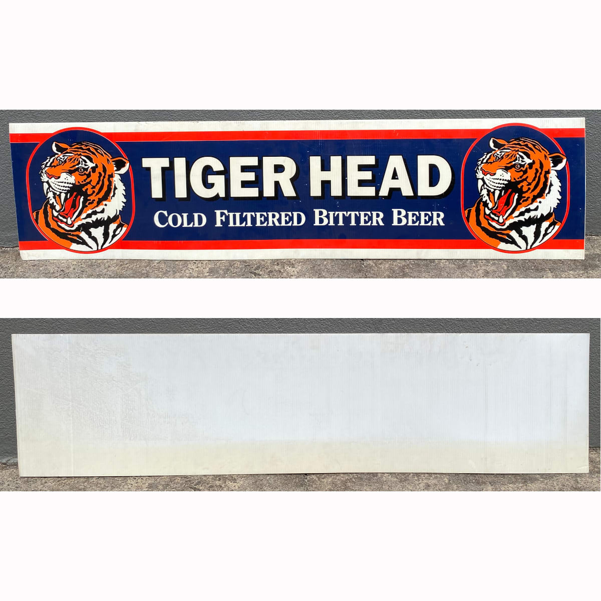 Corflute Advertising Sign. Tiger Head Cold Filtered Bitter Beer. (Not for post. Arrangements will have to be made by winning bidder for pickup or courier delivery)   (Tasmania)