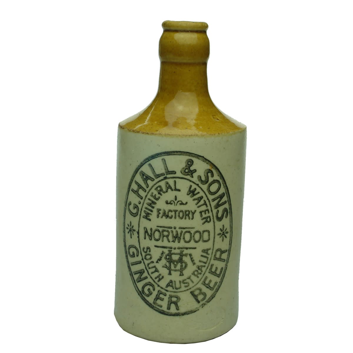 Ginger Beer. G. Hall & Sons, Mineral Water Factory, Norwood. Dump. Tan Top. Crown Seal. Fowler. (South Australia)