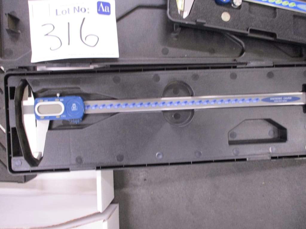 316-2.JPG