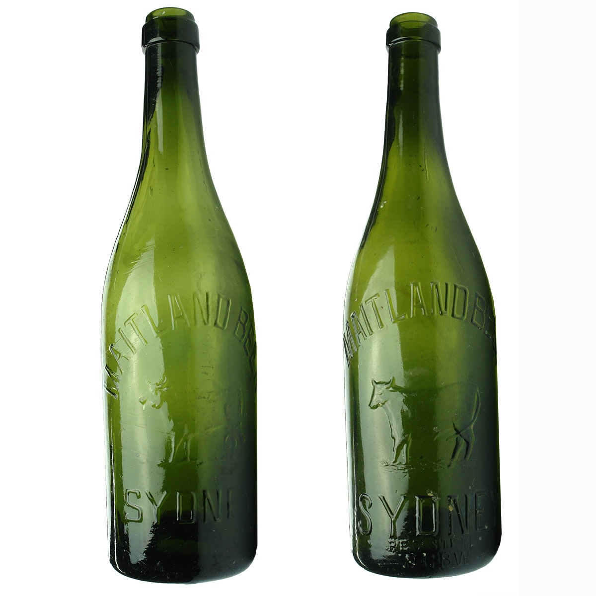 2 Maitland Beers. Maitland Beer Sydney. Bull. One with Registered WGBW. (New South Wales)