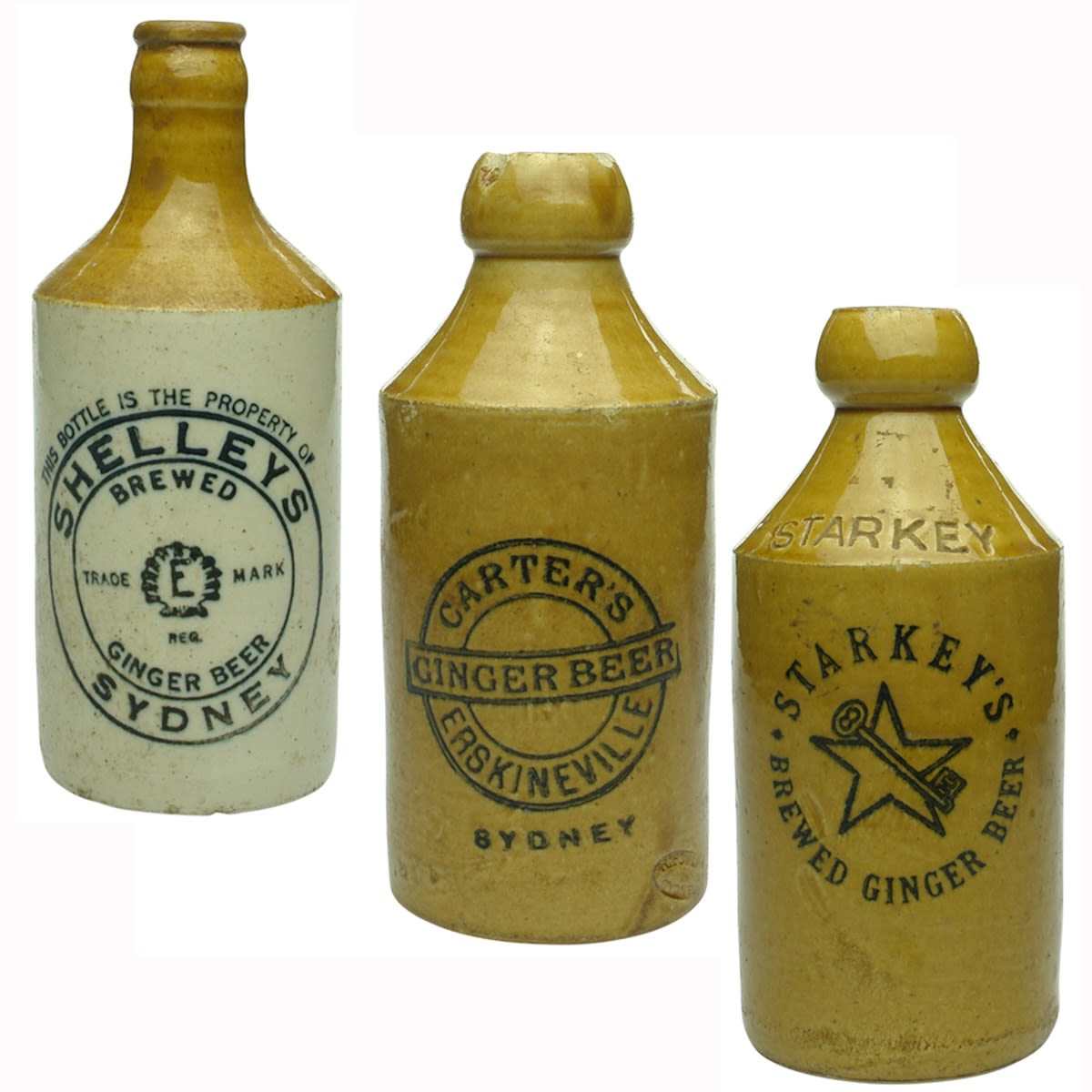 Ginger Beers: 1. Shelleys, Sydney. Dump. Crown Seal. Tan Top. 2. Carter's, Erskineville, Sydney. Dump. Blob Top. All Tan. 3. Starkey's Brewed Ginger Beer. Dump. Blob Top. All Tan. (New South Wales)