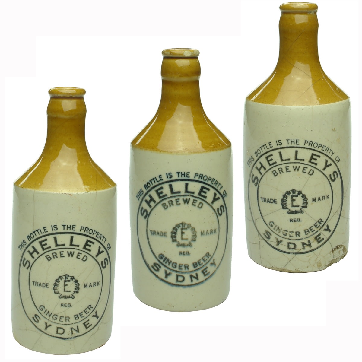 3 Ginger Beers: All Shelleys Sydney. Shell pictorial. Crown Seal. Fowler Pottery. (New South Wales)